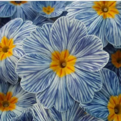 <em>Primula vulgaris</em> 'Zebra Blue'